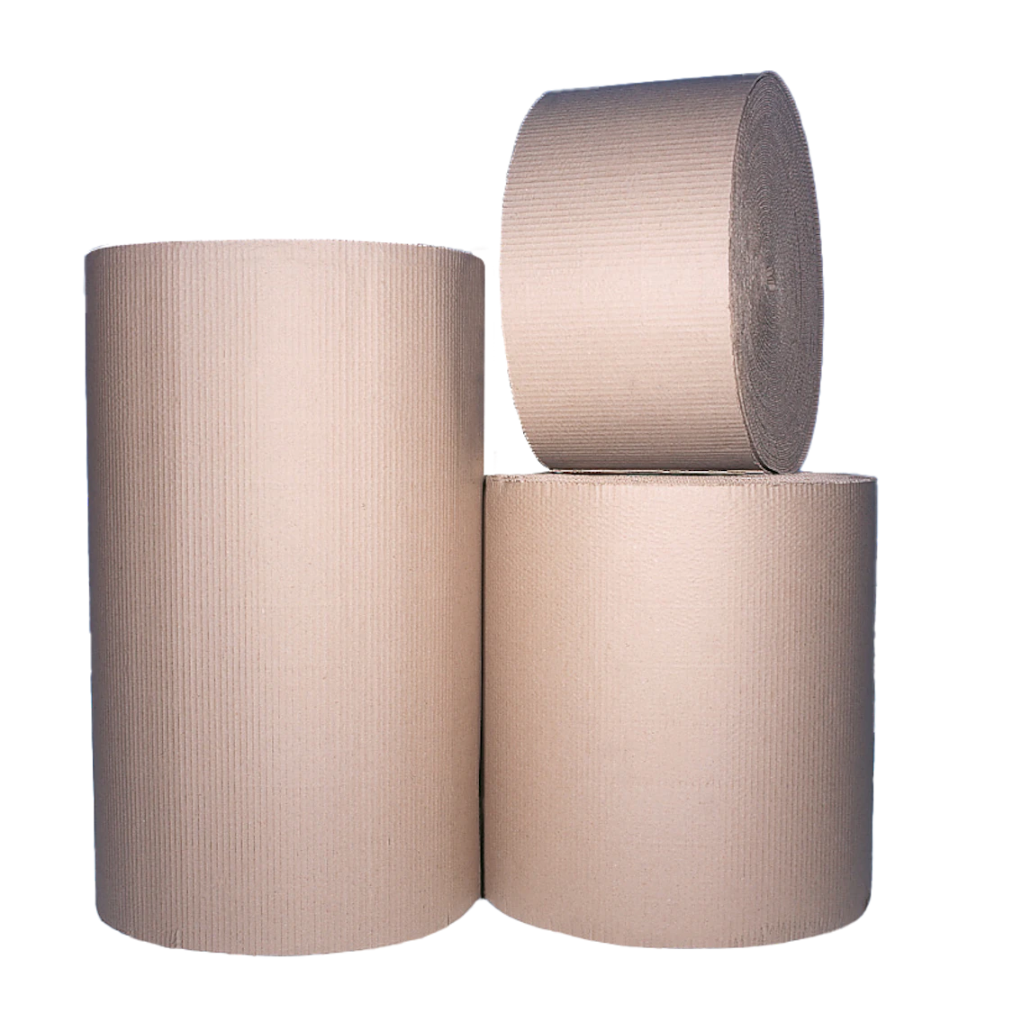 Amazing Corrugated Cardboard Roll 1200mm Royal Food Processing And ...